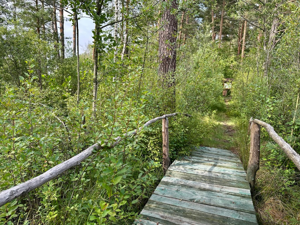 Ścieżka Kobyle Jezioro