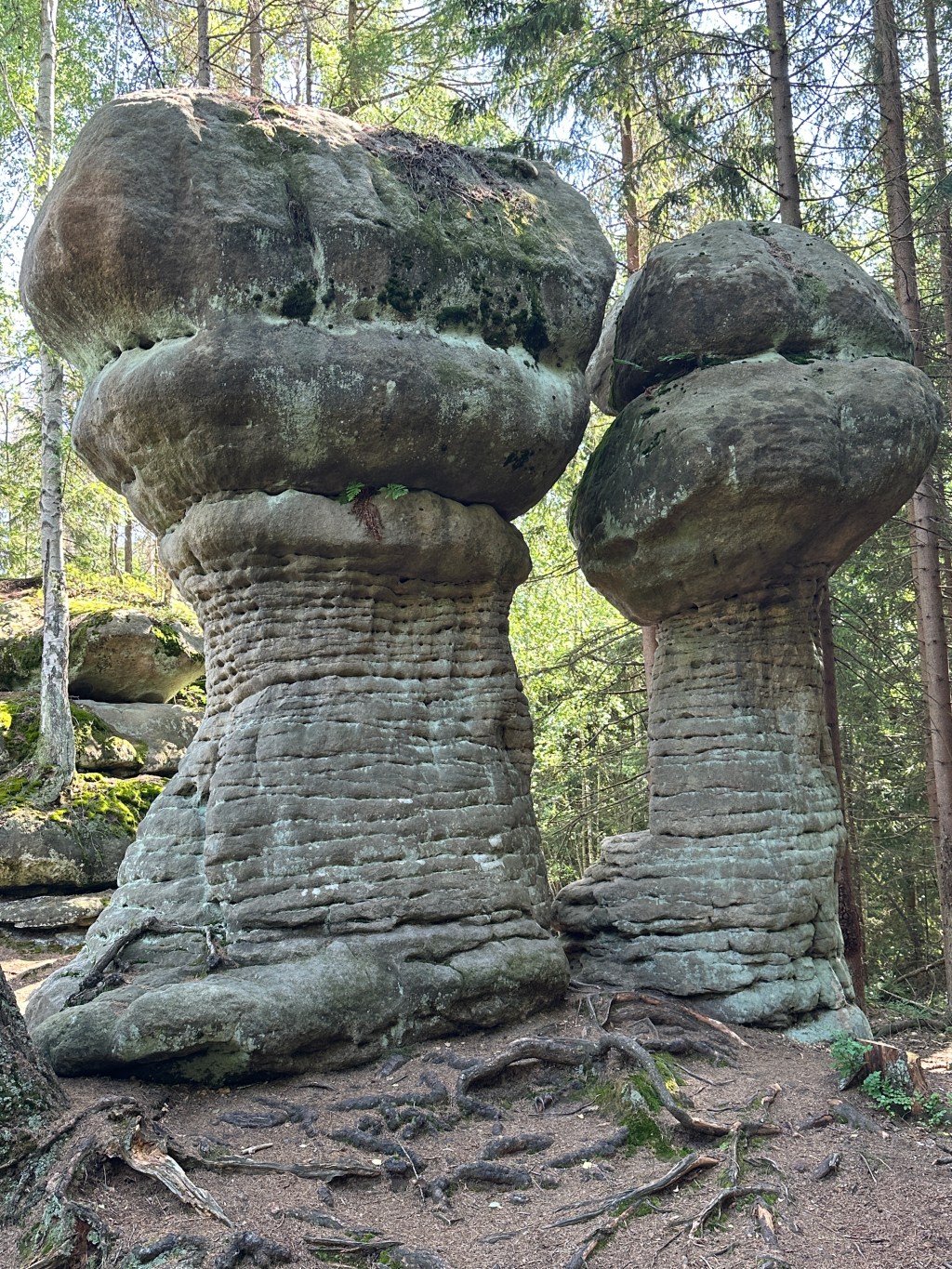 Skalne Grzyby i Niknąca&nbsp;Łąka