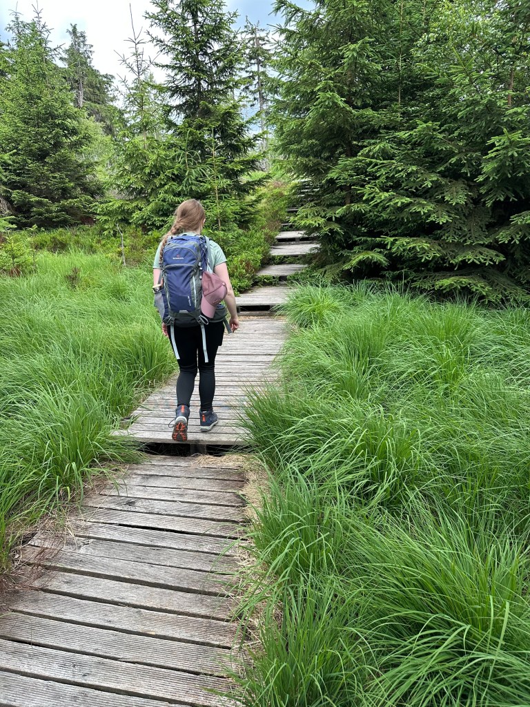 Ścieżka z drewnianych desek przez wysoką trawę 