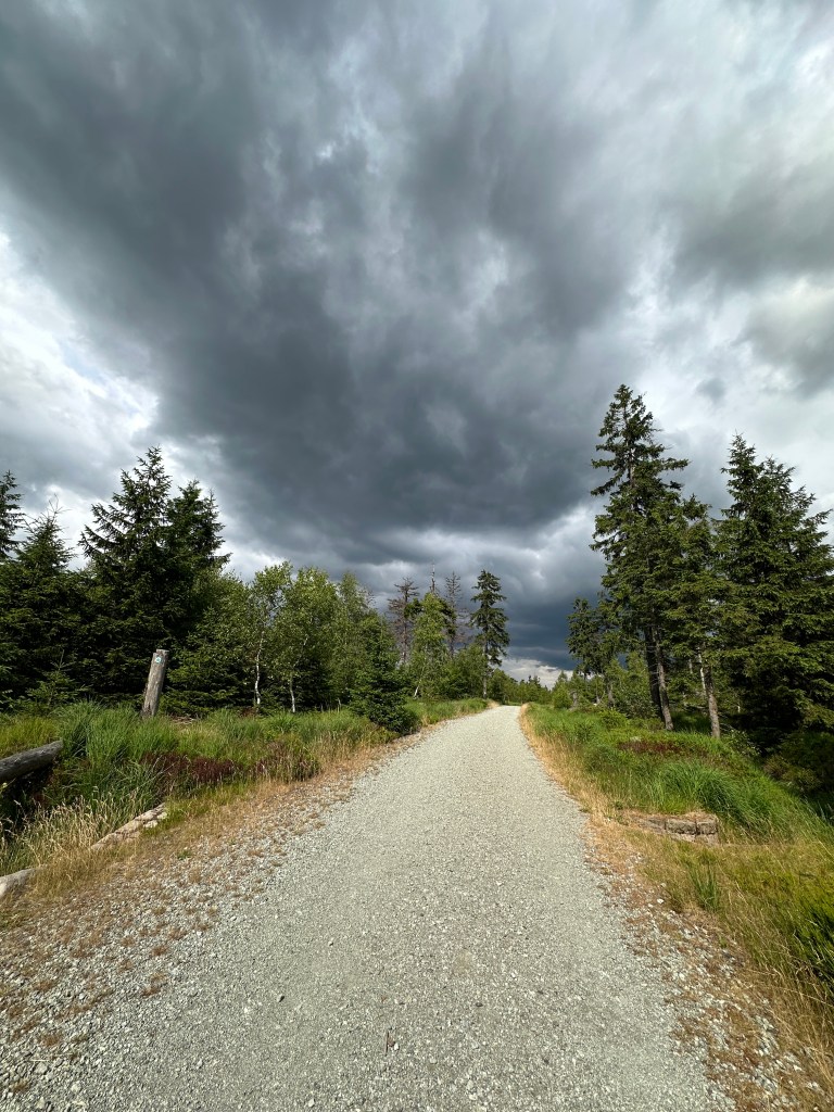 Żwirowana droga przez las. Nad nią ciemna chmura
