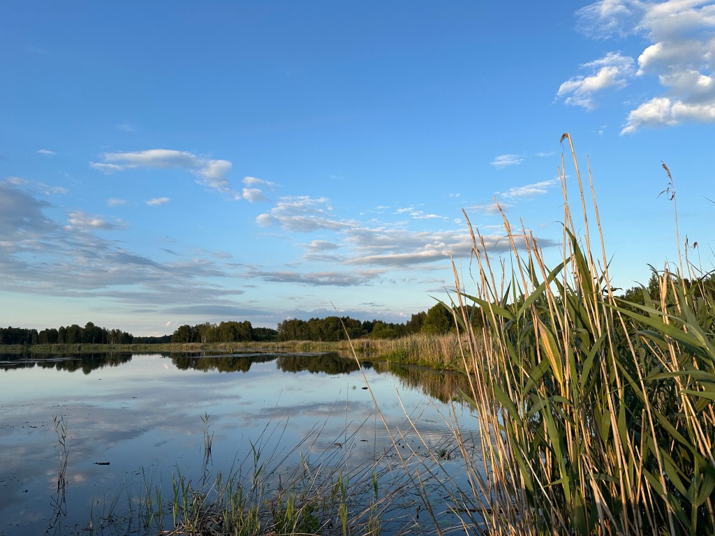 Dąb Dominik i Jezioro&nbsp;Moszne