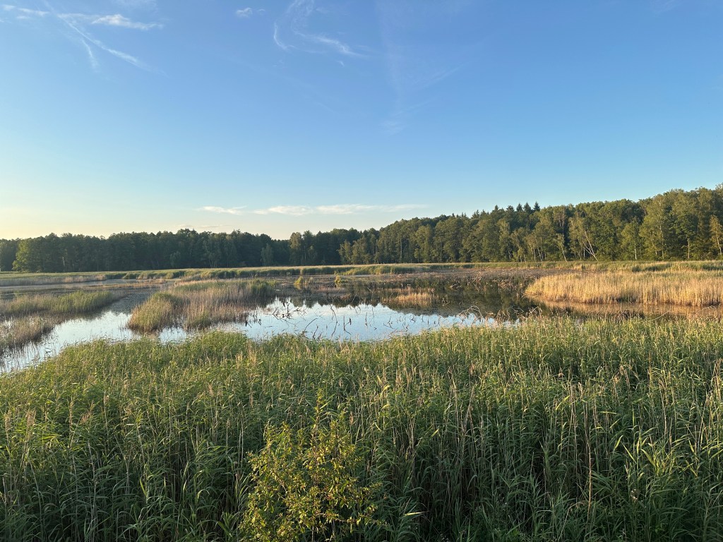 Perehod – ścieżka&nbsp;ornitologiczna