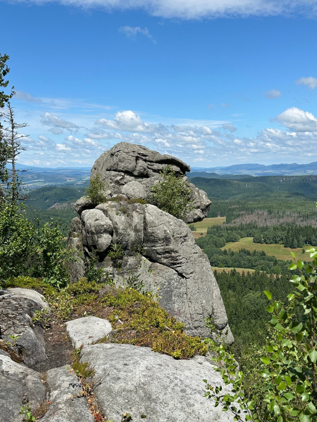 Szczeliniec z Wodospadów&nbsp;Pośny
