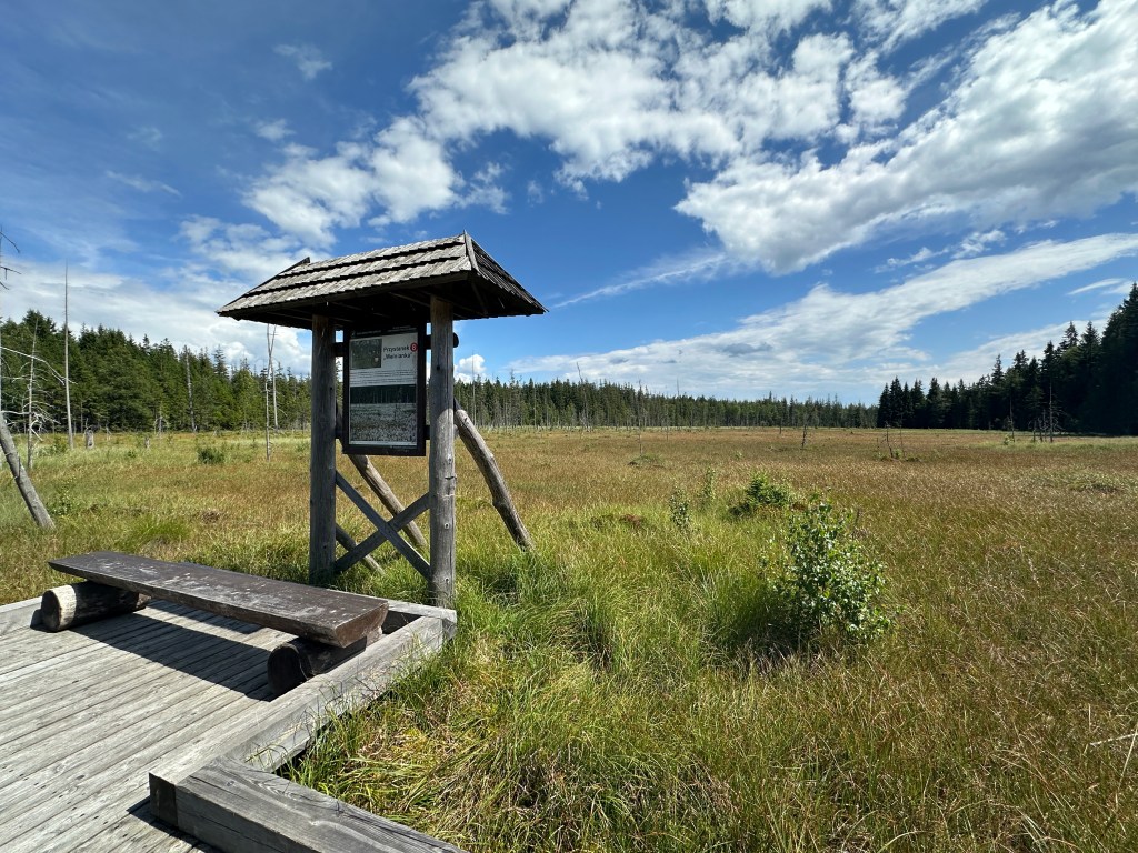 Torfowisko pod Zieleńcem