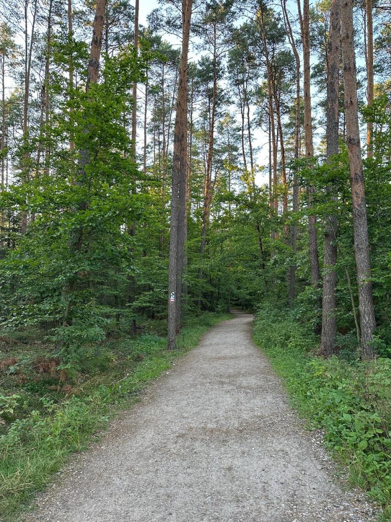piaskowa góra wejście