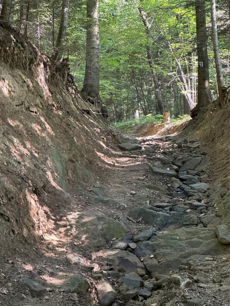 zamkowa szlak wąwóz