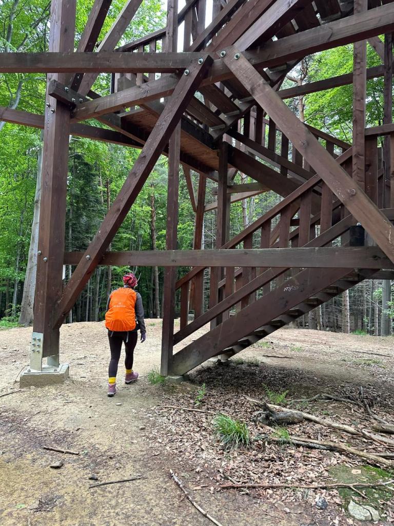 ferdel wieża widokowa schody