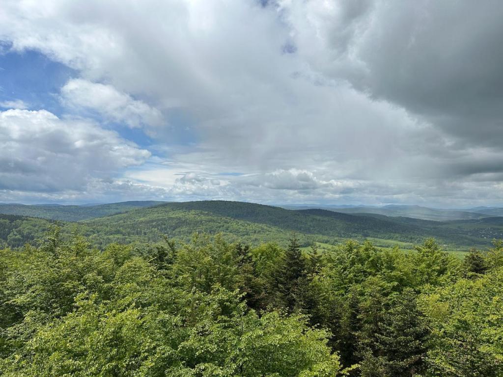 ferdel wieża widokowa