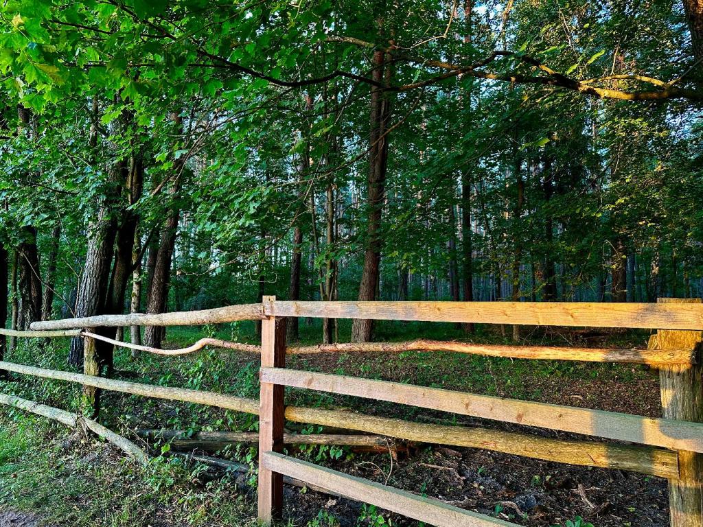 zwierzyniec las barierka