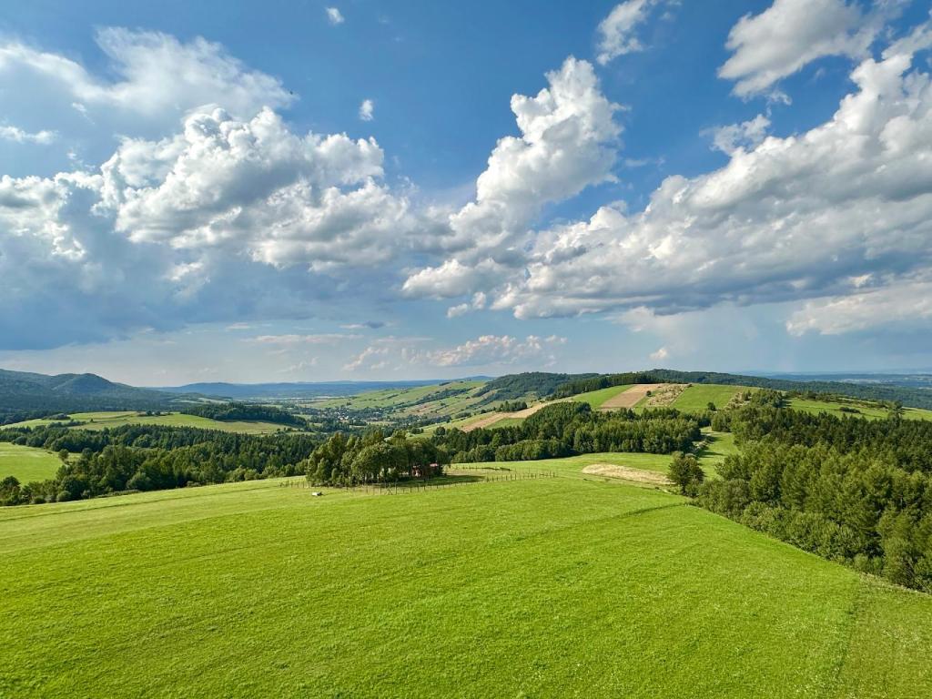 desznica widok z góry