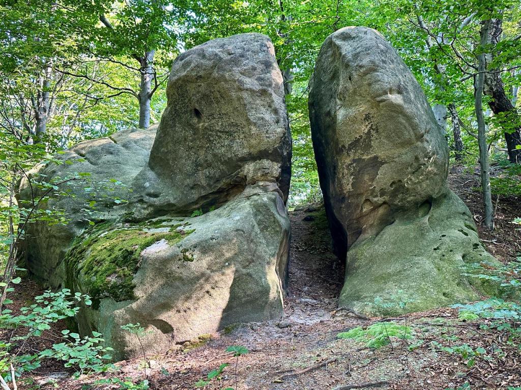 Góra Zamkowa i Kaplica pod Trzema&nbsp;Kopcami