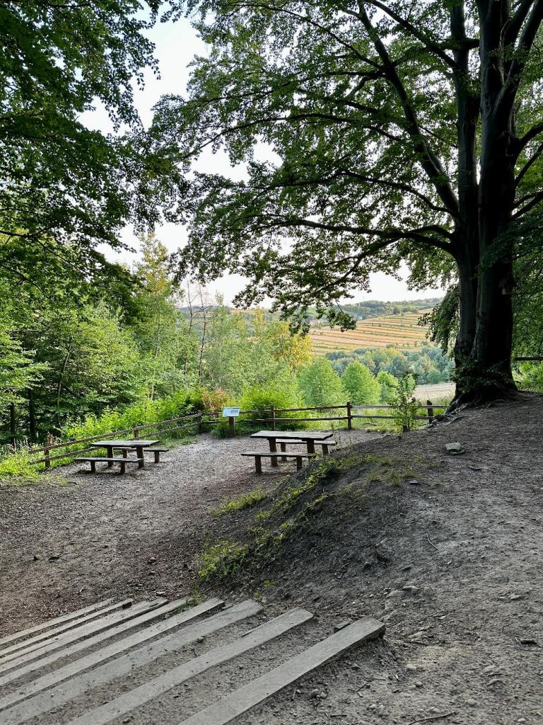 bukowa góra punk widokowy