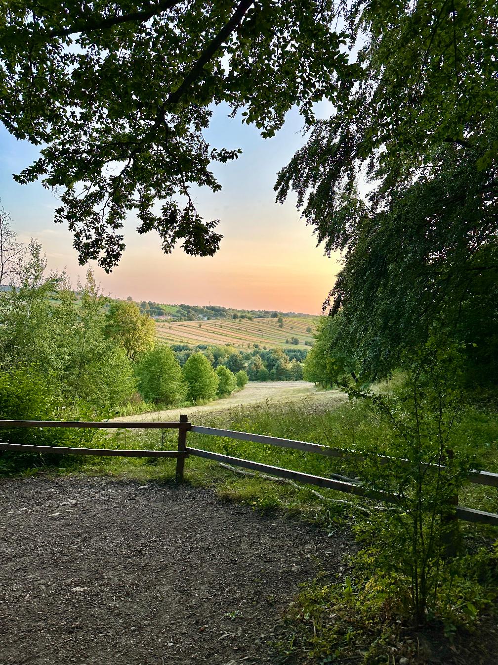 Bukowa Góra i wieża widokowa w&nbsp;Zwierzyńcu