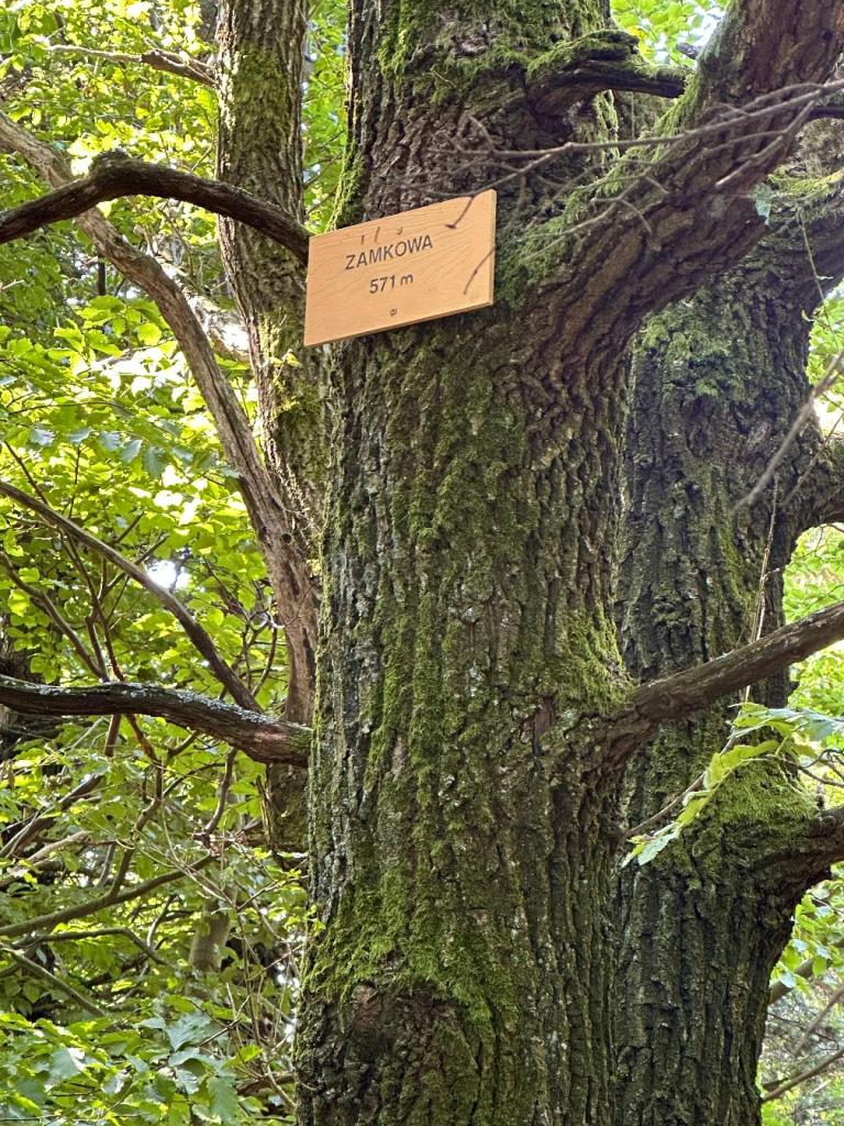 góra zamkowa tabliczka