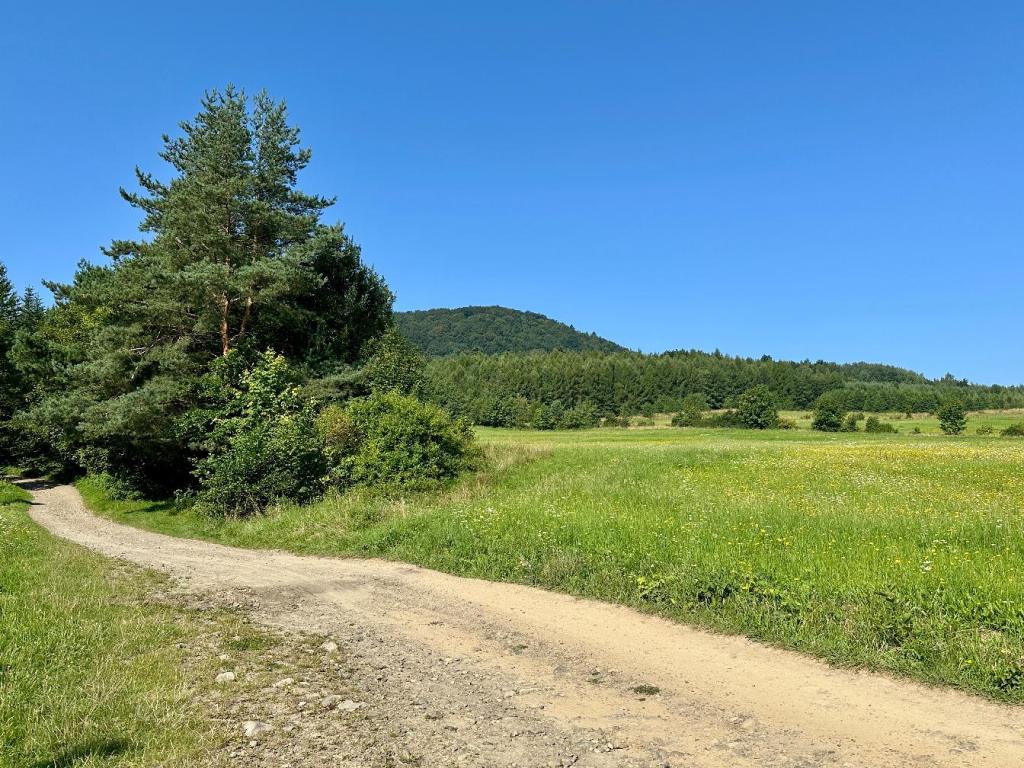 zamkowa szlak początek łąka