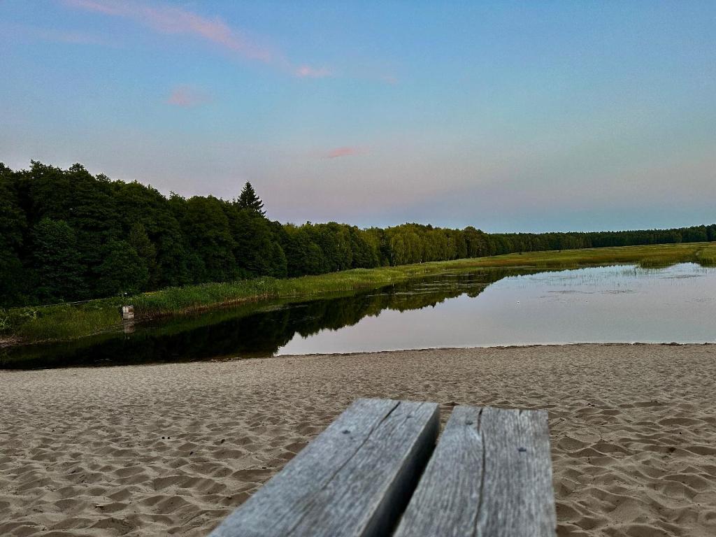 zwierzyniec zachód słońca plaża ławka