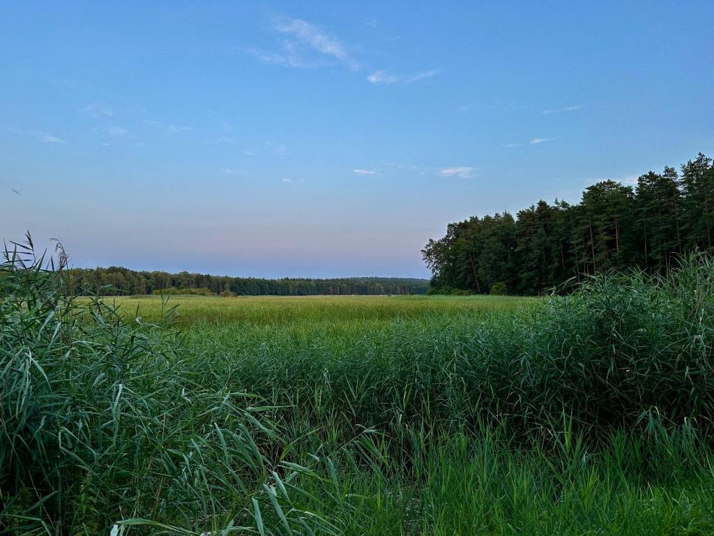 bukowa góra stawy echo