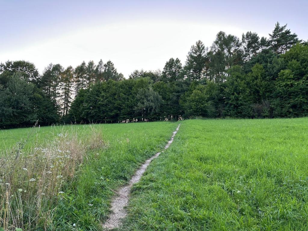 piaskowa góra łąka