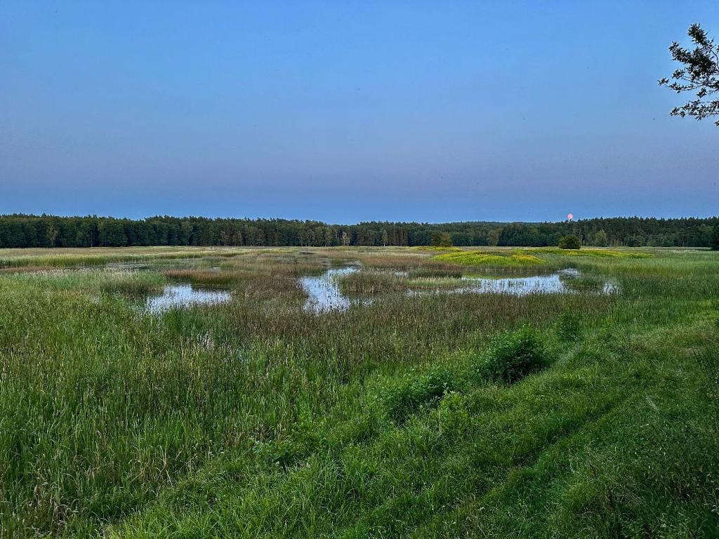 bukowa góra stawy echo