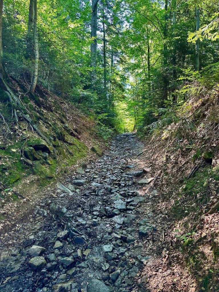 góra zamkowa szlak wąwóz