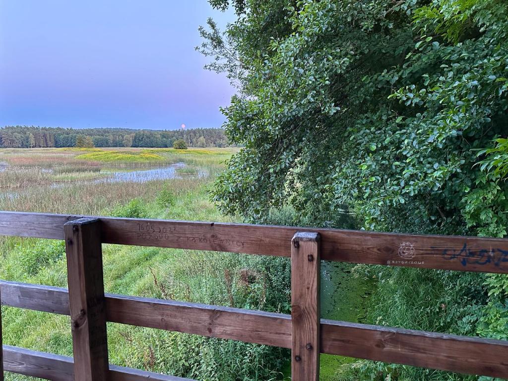 bukowa góra wieża widokowa