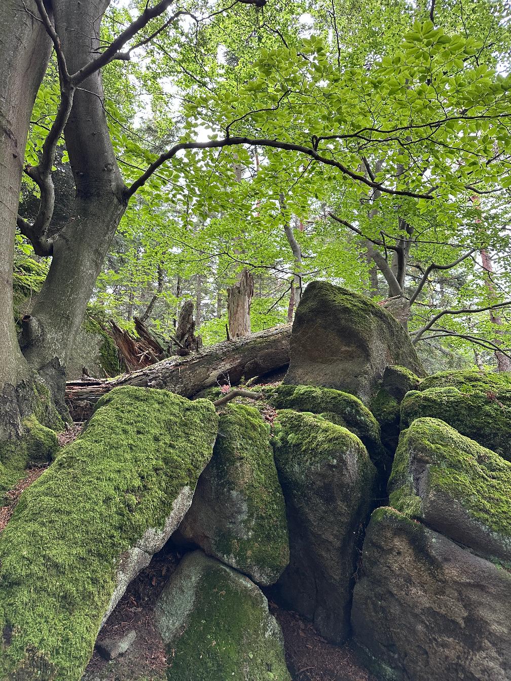 Folusz – Diabli Kamień i Wodospad&nbsp;Magurski