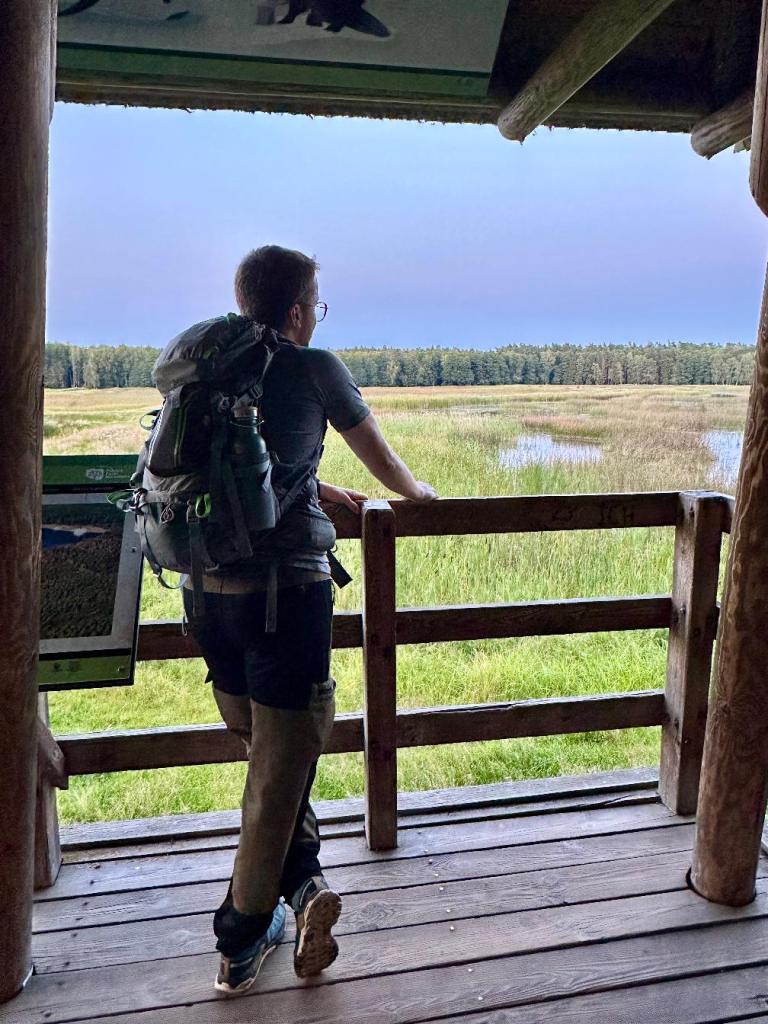 bukowa góra wieża widokowa