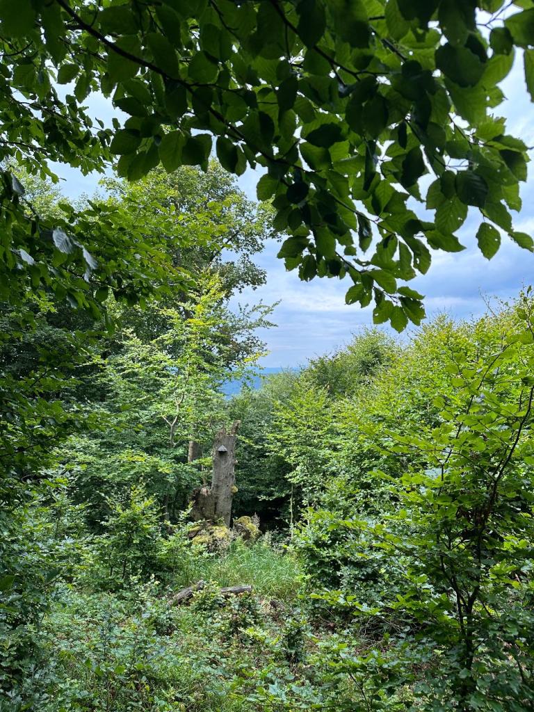 magura punkt widokowy