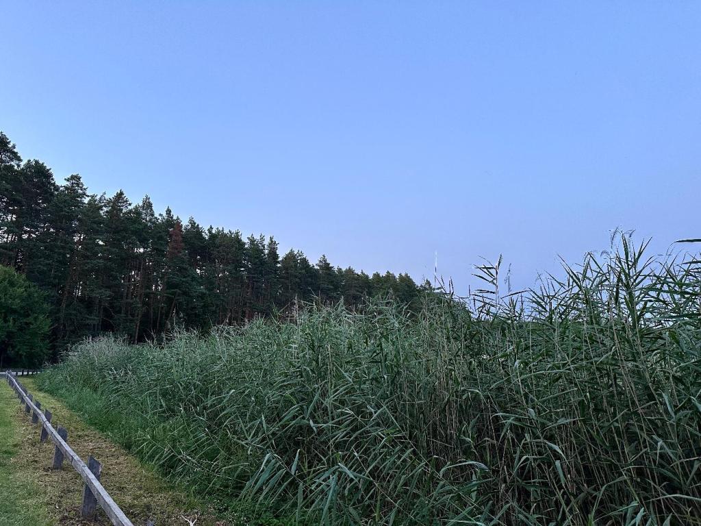 bukowa góra stawy echo