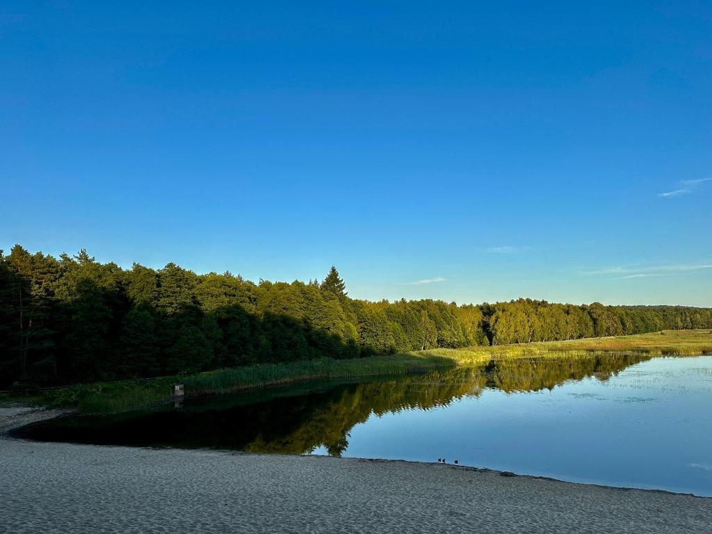 stawy echo zwierzyniec plaża