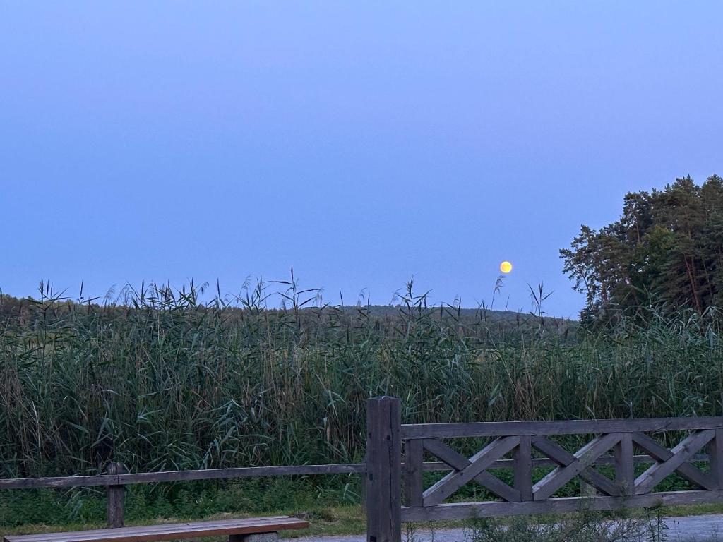 bukowa góra stawy echo