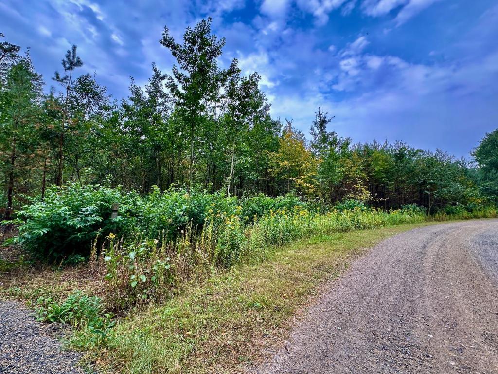 Ścieżka Kopanina w Lasach&nbsp;Kozłowieckich