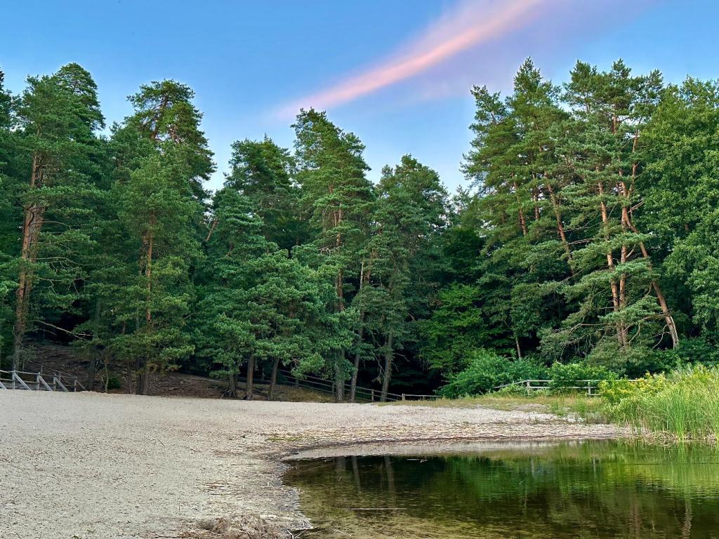 zwierzyniec zachód słońca plaża woda