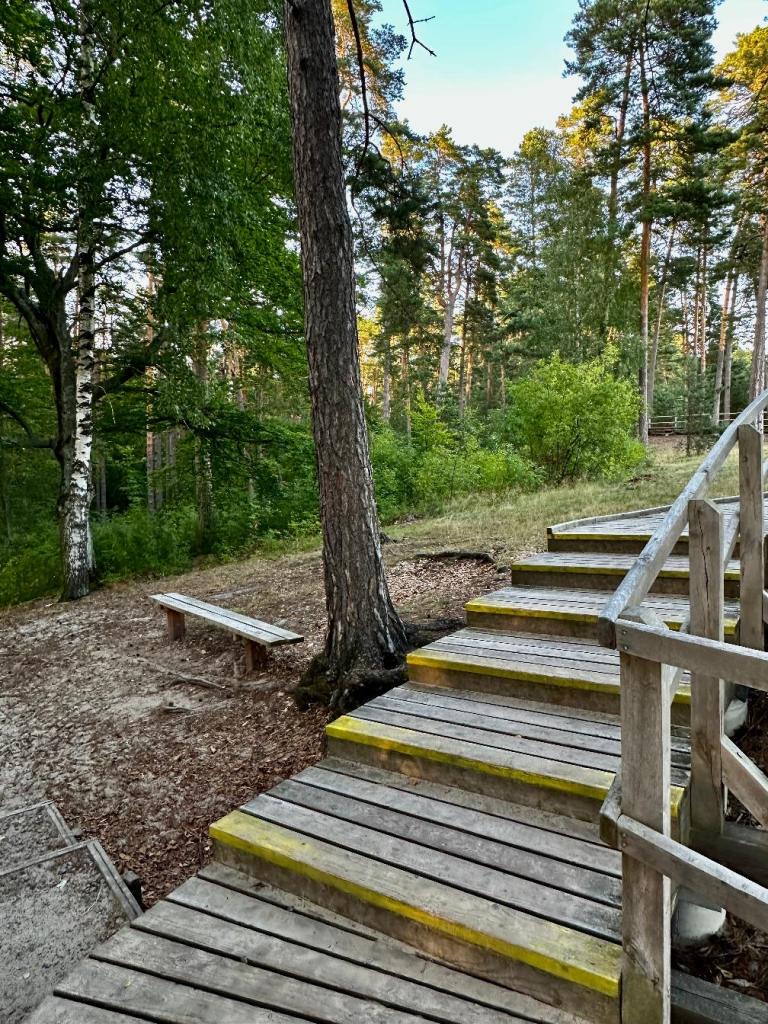 stawy echo zwierzyniec schody