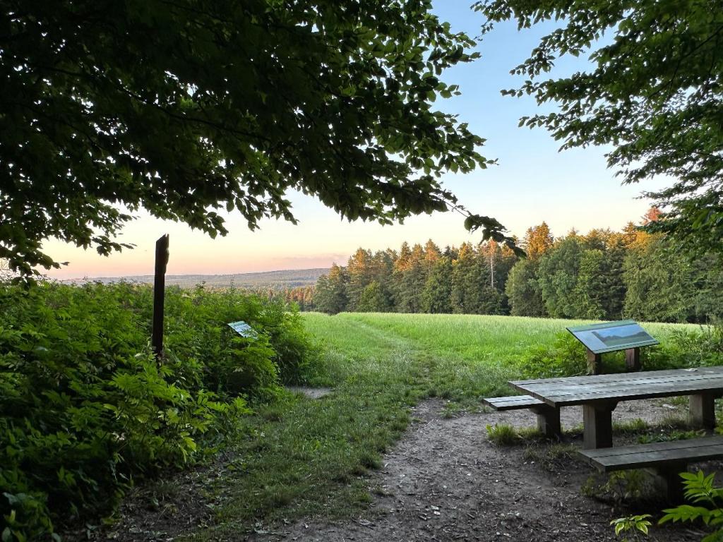 Piaseczna Góra w&nbsp;Zwierzyńcu