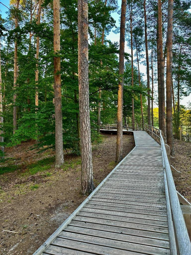 stawy echo zwierzyniec kładka