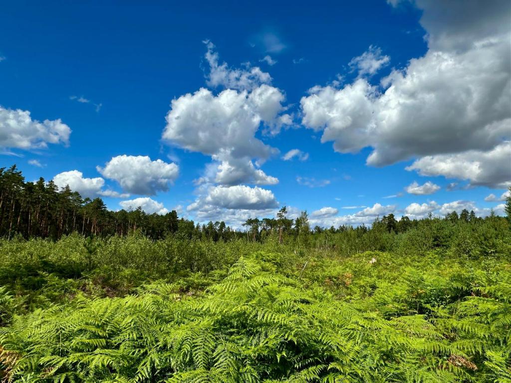 Zamknięta ścieżka „Szklarnia” i Uroczysko&nbsp;Kruczek