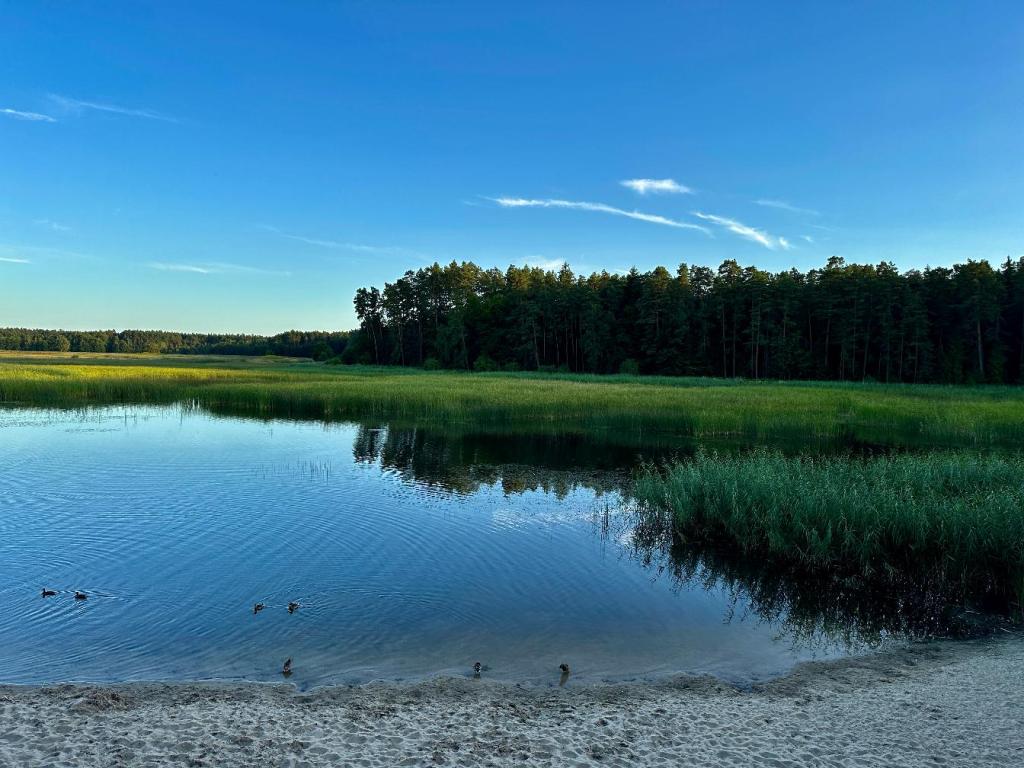 Stawy Echo i ścieżka na wydmach w&nbsp;Zwierzyńcu