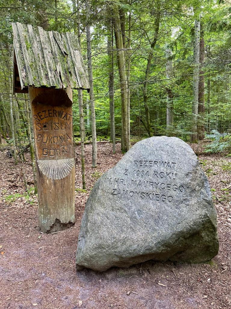 bukowa góra rezerwat kamień