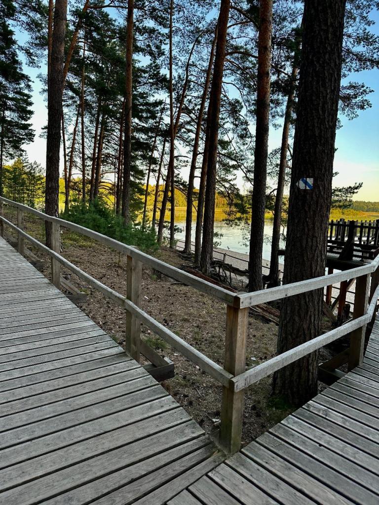 stawy echo zwierzyniec kładka