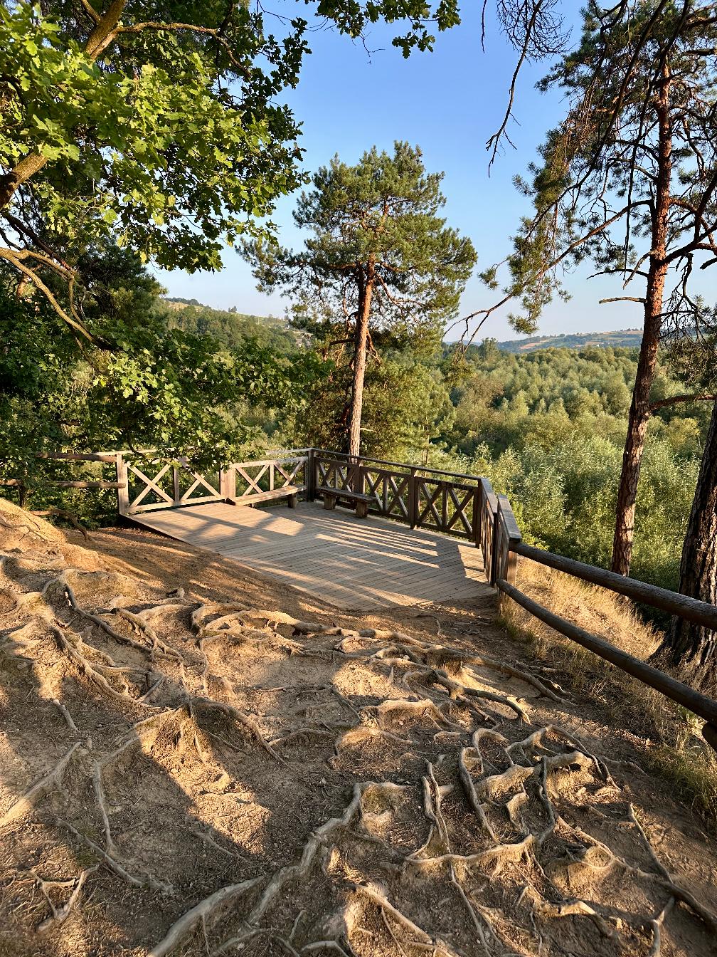 Rezerwat Skamieniałe Miasto w&nbsp;Ciężkowicach