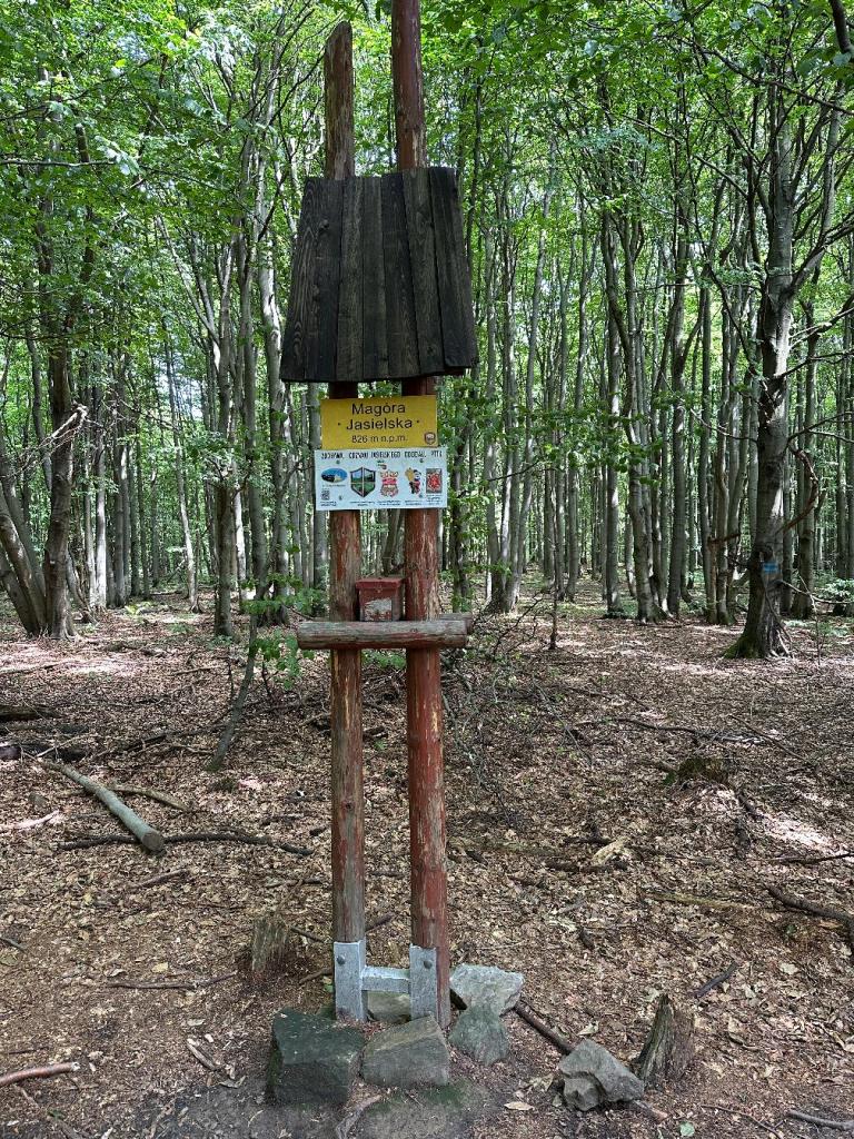 magura jasielska szczyt