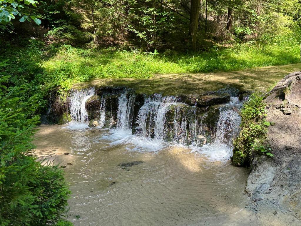 Rezerwat nad Tanwią –&nbsp;Szumy