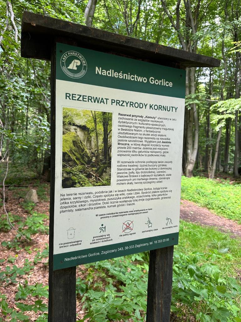 rezerwat kornuty