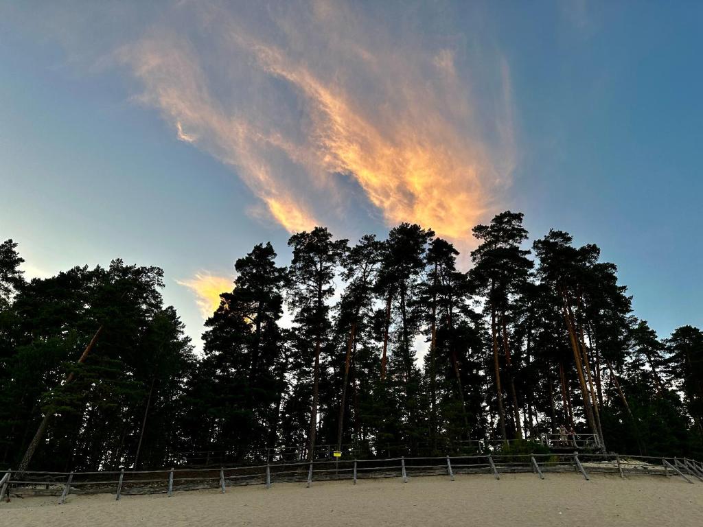 zwierzyniec zachód słońca plaża drzewa
