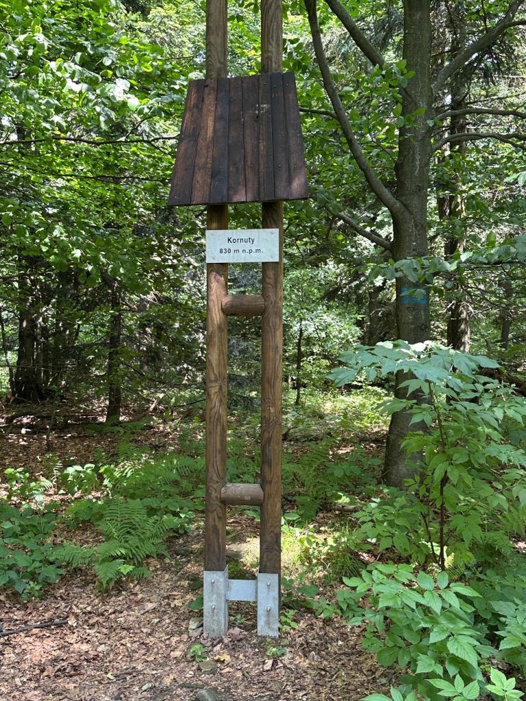 kornuty szczyt