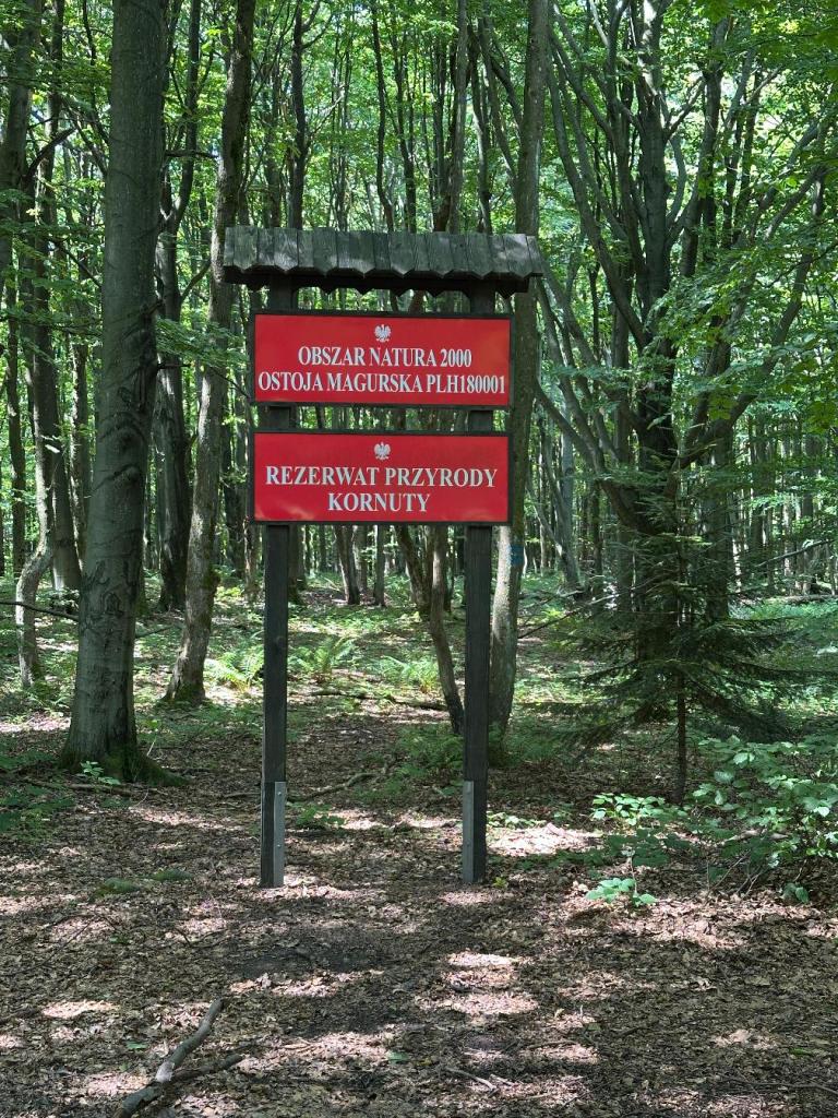rezerwat kornuty