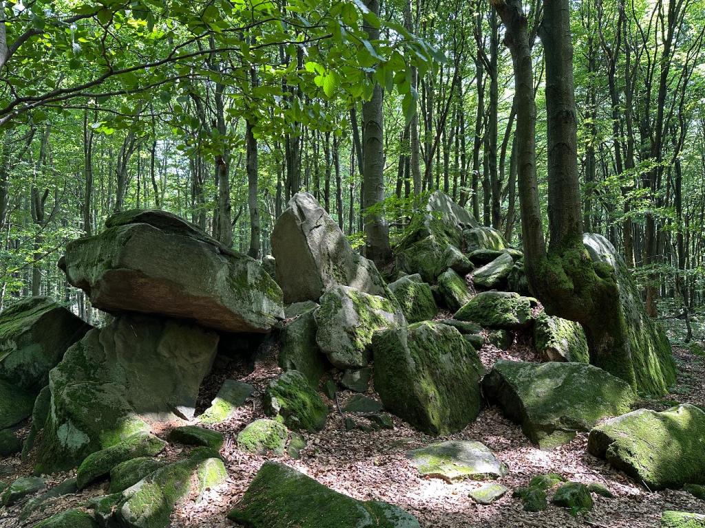 kornuty formacje skalne