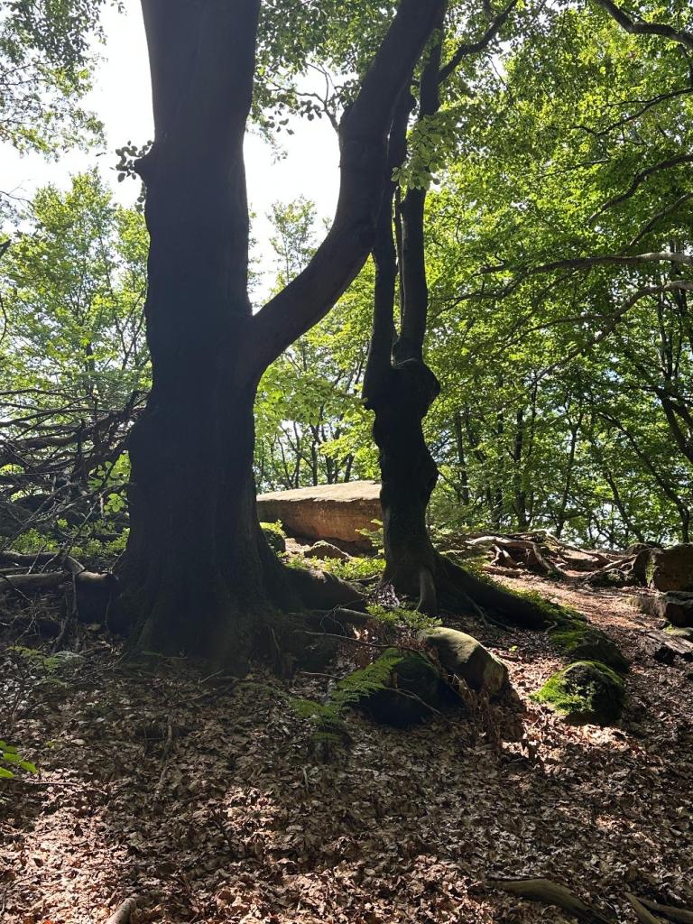 kornuty formacje skalne