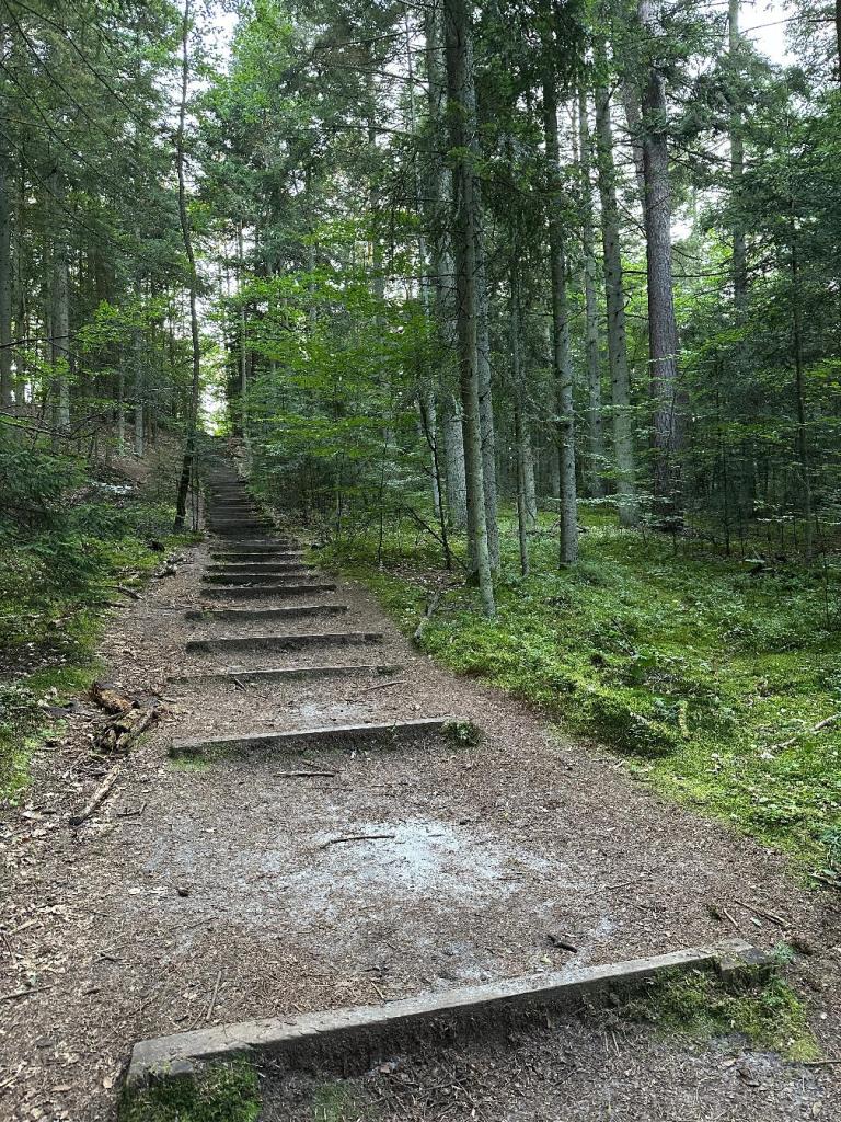 piaskowa góra schody